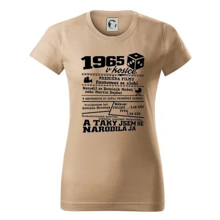 1965 v kostce