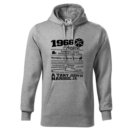 1966 v kostce