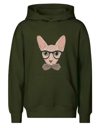 Hipster sphynx