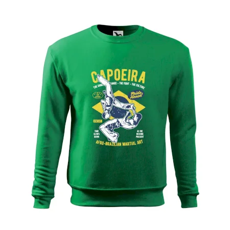 Capoeira  Afro-brazil art