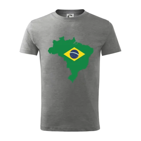 Brazílie vlajka v mapě