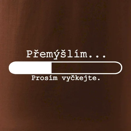Přemýšlím