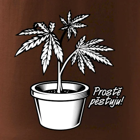 Konopi prostě pěstuju