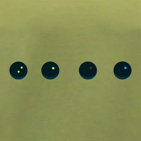 Evolution squash ball