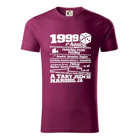 1999 v kostce