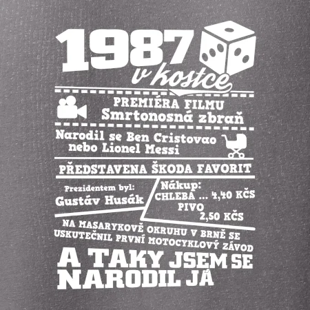 1987 v kostce