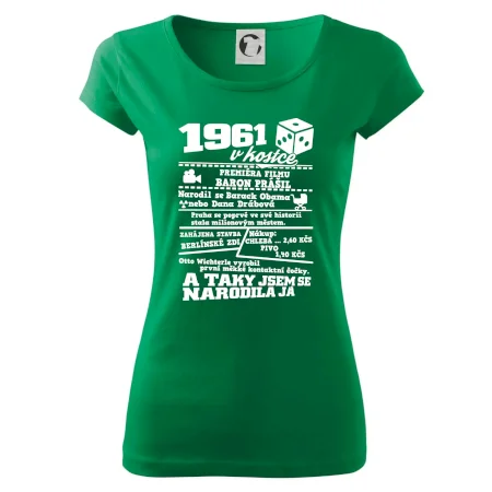 1961 v kostce