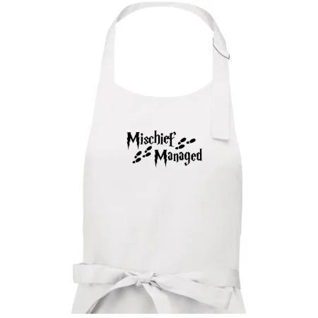 Harry - Mischief Managed