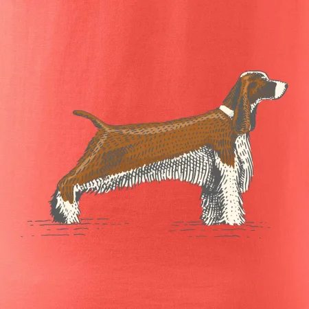 Vintage Springer spaniel