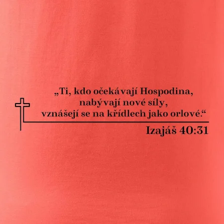 Citáty z bible - Izajáš 40:31