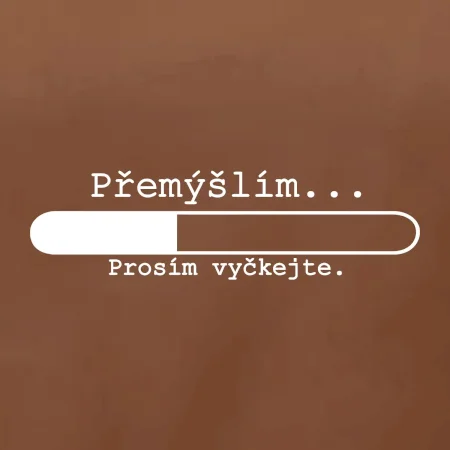Přemýšlím