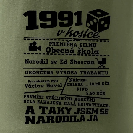 1991 v kostce