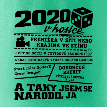 2020 v kostce