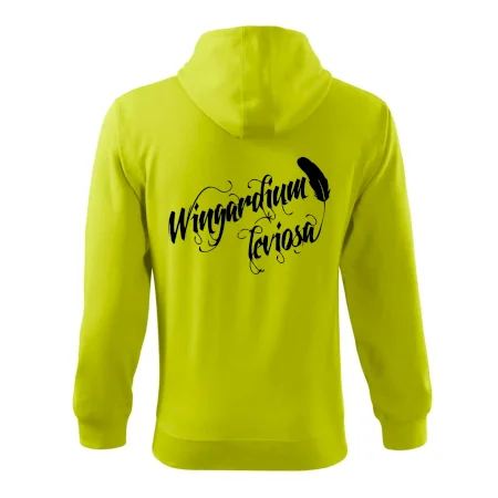 Harry - Wingardium Leviosa