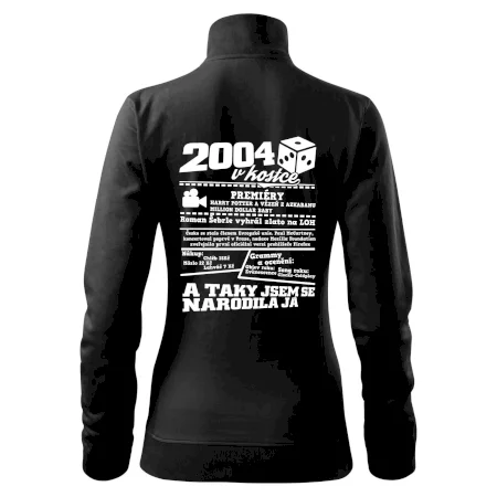 2004 v kostce