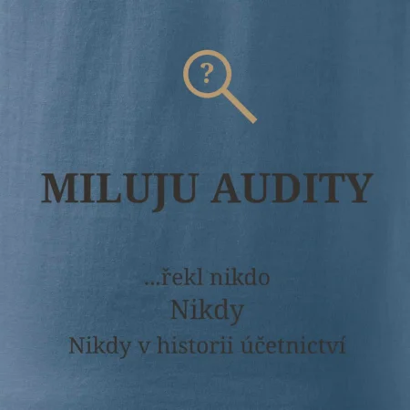 Miluju audity řekl nikdo nikdy