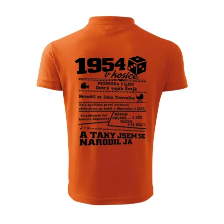 1954 v kostce