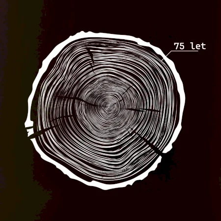 Letokruhy - 75