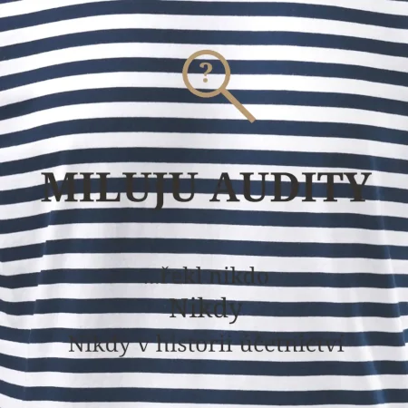 Miluju audity řekl nikdo nikdy