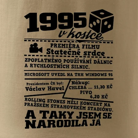 1995 v kostce
