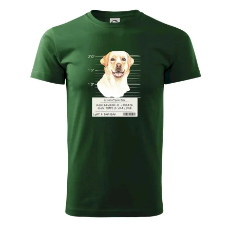 Lump a darebák labrador