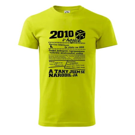 2010 v kostce