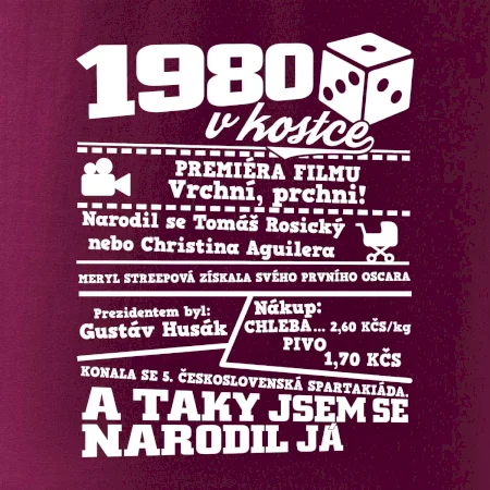 1980 v kostce