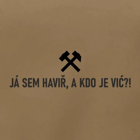 JÁ SEM HAVIŘ, A KDO JE VIĆ?!﻿