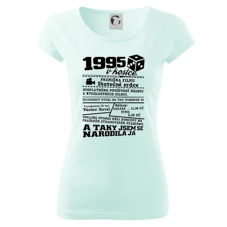 1995 v kostce