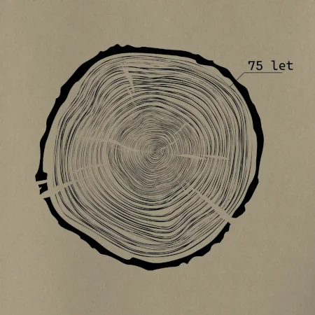 Letokruhy - 75