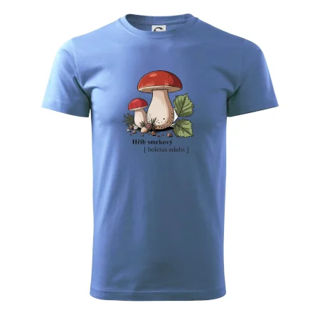 Hřib smrkový - Boletus edulis kreslený