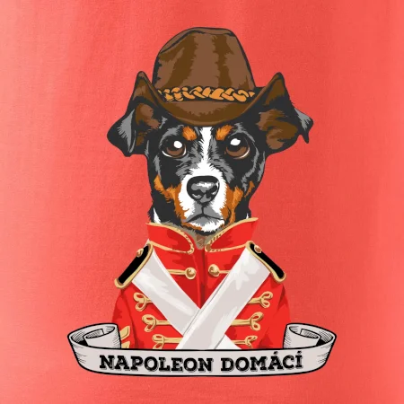 Napoleon domácí pes kříženec
