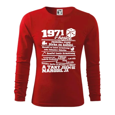 1971 v kostce