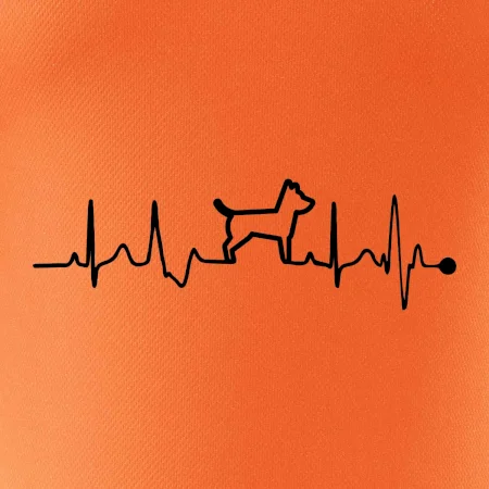 Ekg psí obrys