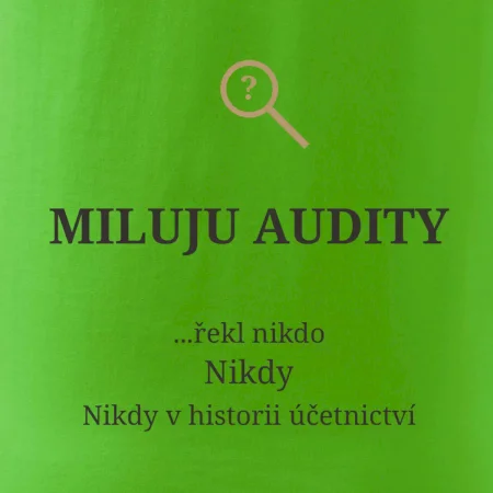 Miluju audity řekl nikdo nikdy