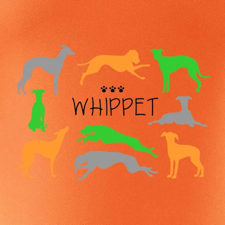 Whippet barevný
