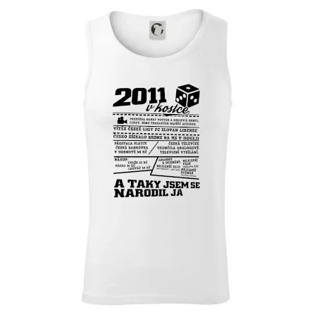 2011 v kostce