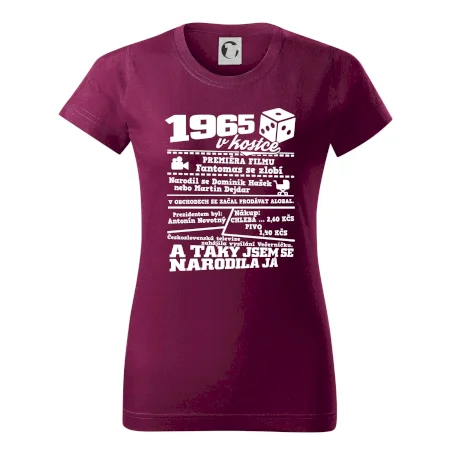 1965 v kostce