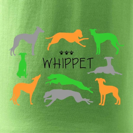Whippet barevný