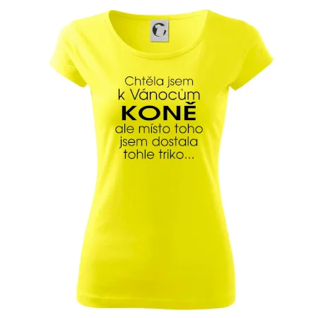 Chtěla jsem k Vánocům koně