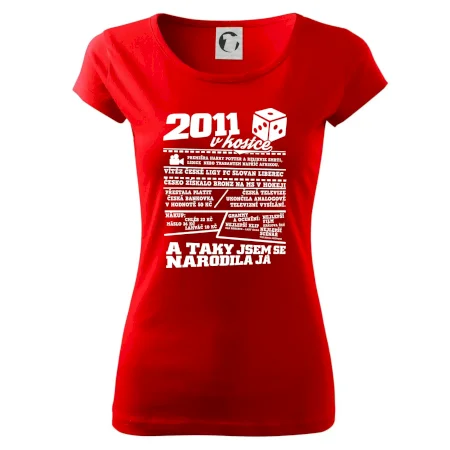 2011 v kostce