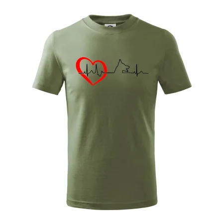 Německý ovčák ekg