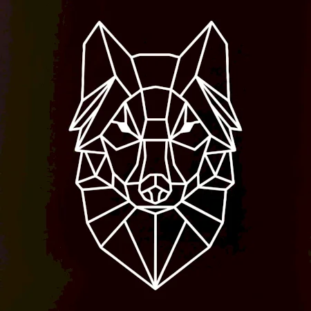 Geometrie - vlk