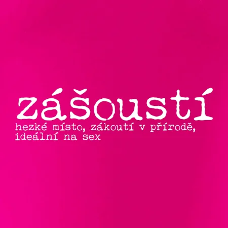Čeština 2.0 - zášoustí