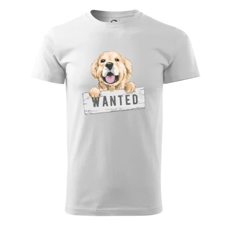 Zlatý retriever - štěně wanted