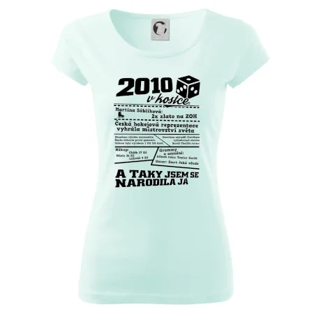 2010 v kostce