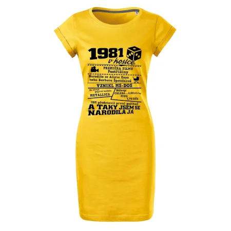 1981 v kostce