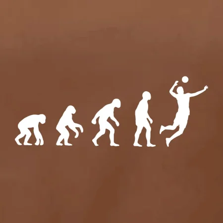 Evoluce volejbal smeč