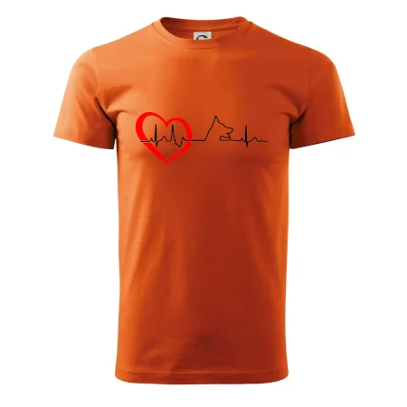 Německý ovčák ekg