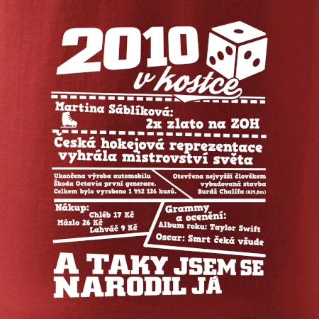 2010 v kostce